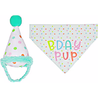 Pearhead Pet Happy Barkday Bandana and Party Hat Birthday Set for Dogs