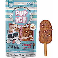 Pup Ice Choccy Lollies Peanut Butter and Chocolate Treats for Dogs