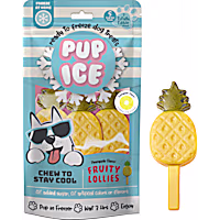 Pup Ice Fruity Lollies Pineapple Treats for Dogs