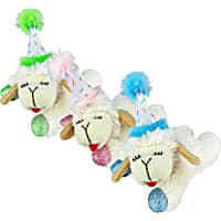 Multipet International Lamb Chop Birthday Assorted Cat Toy