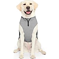 Canada Pooch Waterproof Sweater for Dogs