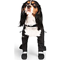 Dog shoes at petco shop