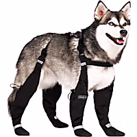Canada Pooch Suspender Boots for Dogs