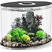 biOrb LOOP 30 Black Aquarium with Standard Light