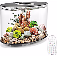 biOrb LOOP 15 Black Aquarium with MCR Light