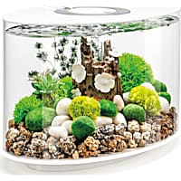 biOrb LOOP 15 White Aquarium with Standard Light