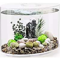 biOrb LOOP 30 White Aquarium with Standard Light