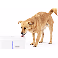 PetSafe Viva Pet Indoor Water Fountain with Ultra Quiet Pump for Dogs and Cats