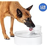 PetSafe White Outlast Pumpless Water Fountain Indoor Water Dispenser for Dogs and Multiple Cats