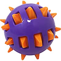 Multipet International TPR Spike Ball Assorted Dog Toy