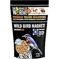The Honest Worm! Wild Bird Magnet!