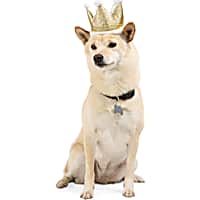 YOULY Birthday Crown Pet Hat