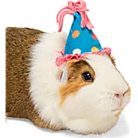 YOULY Birthday Crown Small Animal Hat