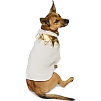 YOULY Crown Pet Sweater