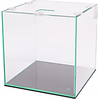 Imagitarium 3 Gallon Open-Glass Frameless Cube Aquarium Tank