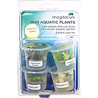 Mini 4 Pack TC Cups Collectors Edition
