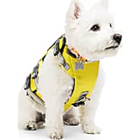 YOULY Ultimate Dog Floatation Vest