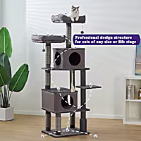 Catry Minimalistic Contemporary Cat Tree