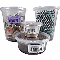 Live Insects Adult Bearded Dragon Feeder Bundle