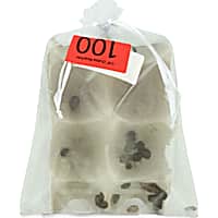 Live Insects Dubia Roaches