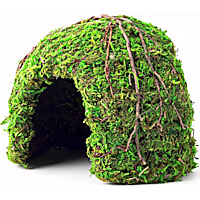 Galapagos Green Mossy Dome