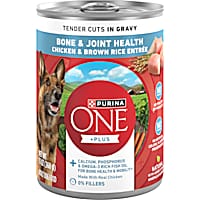 Purina ONE Tender Cuts Bone & Joint Puppy Chicken & Brown Rice Wet Dog Food