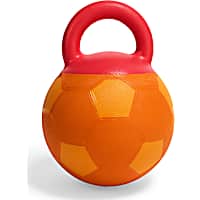 Leaps & Bounds Orange Soccer Ball Dog Toy with Handle