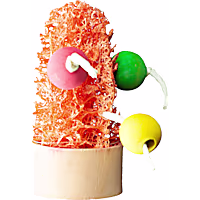 A&E Cage Company Nibbles Succulent Chew