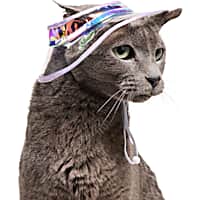 YOULY Iridescent Bucket Cat Hat