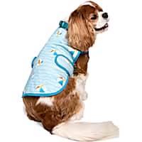 YOULY Cooling Reversible Warm Weather Dog Vest