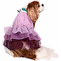 YOULY Ruffle Dress for Dogs
