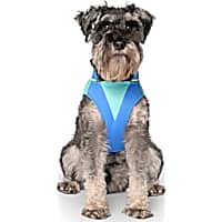 Canada Pooch Max Chill Cooling Dog Vest