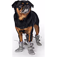 Canada Pooch Hot Pavement Boots Dog