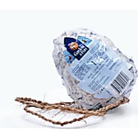A&E Cage Company Garden & Fun Suet Pine Cone