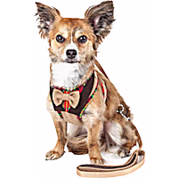 Pet Life Luxe 'Dapperbone' 2-in-1 Mesh Reversed Adjustable Dog Harness and Leash W/ Fashion Bowtie
