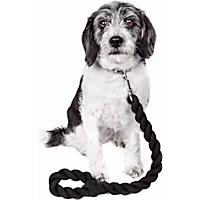 Pet Life Tough Tugger Industrial Strength Woven Close Training Dog Leash