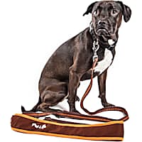Dog Bike Running Leashes Hands Free Dog Leashes Petco