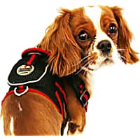 Pet Life Mesh Pet Harness With Pouch