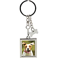 Pearhead Pet Metal Keychain with Square Photo Frame and Bone Charm