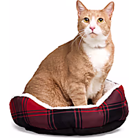 EveryYay Essentials Step-In Cat Bed