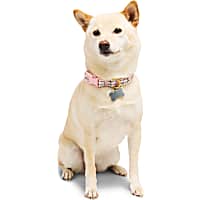 YOULY Pink Boucle Dog Collar