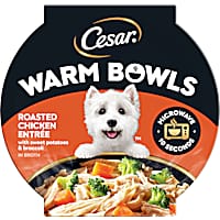 Cesar Warm Bowls Roasted Chicken Entree Wet Dog Food
