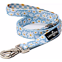 Lucy & Co. The Simply Splendid Dog Leash