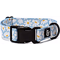 Lucy & Co. Simply Splendid Adjsutable Dog Collar