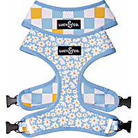 Lucy & Co. The Simply Splendid Reversible Dog Harness