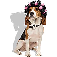 Petco Hair Rollers Wig Pet Costume Headpiece