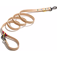 Wild One Waterproof Dog Leash
