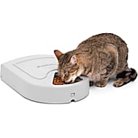 Timed dog feeder shop petsmart