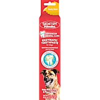 Dog Toothpaste Petco