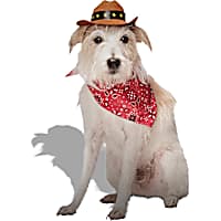 Petco Cowboy 2-Piece Cowboy Pet Costume Headpiece